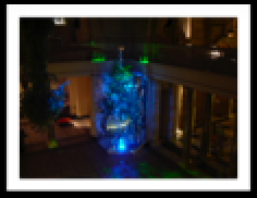 Jasper Conran Christmas Tree